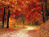 Herbstferien